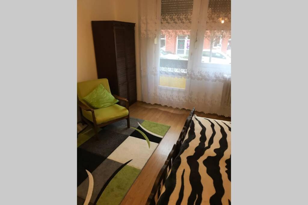 סולנוק Zen Apartman מראה חיצוני תמונה