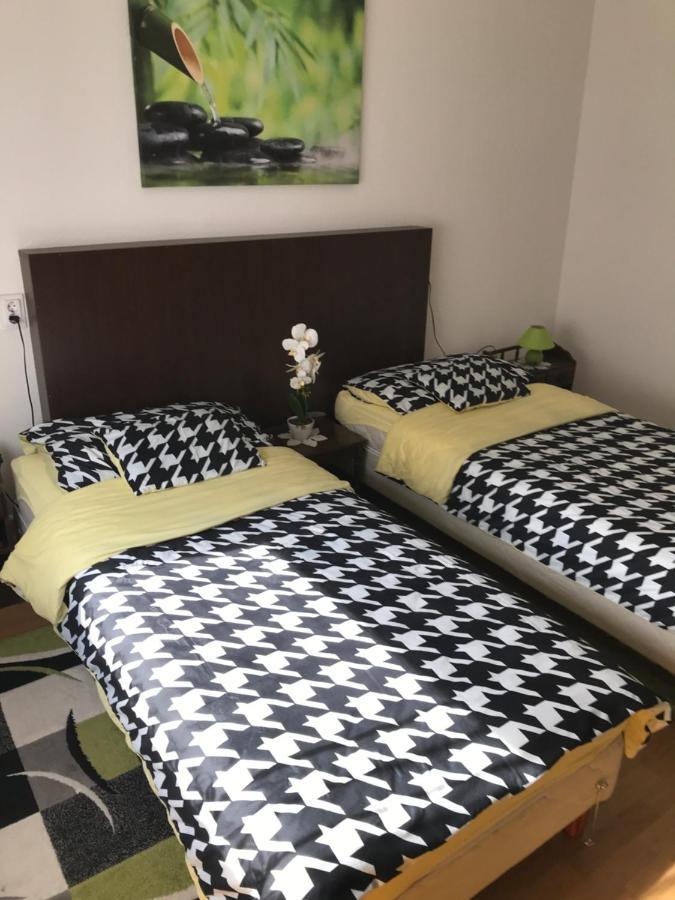 סולנוק Zen Apartman מראה חיצוני תמונה